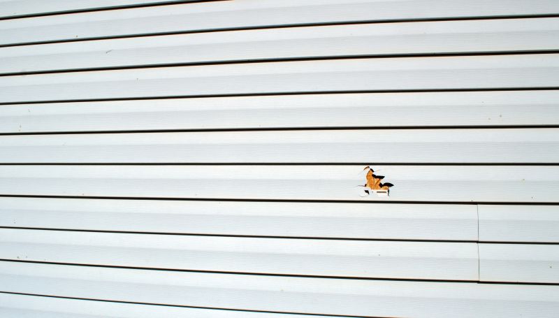 Sealing and Finishing Repairs