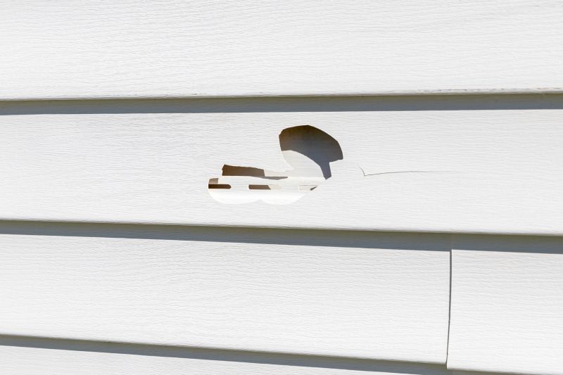 Vinyl Siding Repair Patch